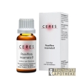 Passiflora incarnata Urtinktur 20ml
